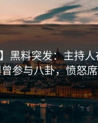 【爆料】黑料突发：主持人在今早时分被曝曾参与八卦，愤怒席卷全网