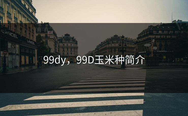 99dy,99D玉米种简介 99dy,99D玉米种简介