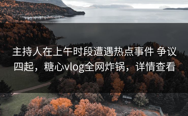 主持人在上午时段遭遇热点事件 争议四起，糖心vlog全网炸锅，详情查看