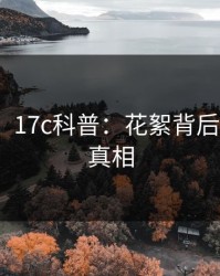 【震惊】17c科普：花絮背后10个惊人真相