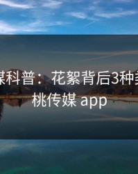 蜜桃传媒科普：花絮背后3种类型，蜜桃传媒 app