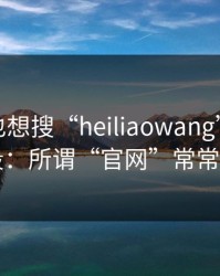 如果你也想搜“heiliaowang”，先看完这段：所谓“官网”常常是假冒