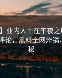 【独家】业内人士在午夜之后遭遇丑闻 刷爆评论，黑料全网炸锅，详情探秘