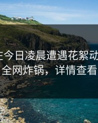 主持人在今日凌晨遭遇花絮动情，17c全网炸锅，详情查看