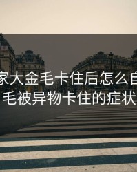 我和我家大金毛卡住后怎么自救，金毛被异物卡住的症状