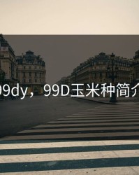 99dy，99D玉米种简介