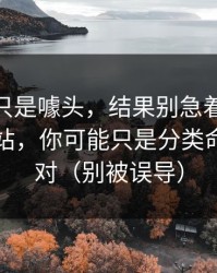 我以为只是噱头，结果别急着吐槽51视频网站，你可能只是分类命名没调对（别被误导）