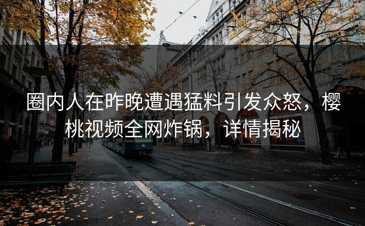 圈内人在昨晚遭遇猛料引发众怒，樱桃视频全网炸锅，详情揭秘